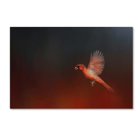 Jai Johnson 'I Wish I Could Fly - Cardinal 1' Canvas Art,12x19